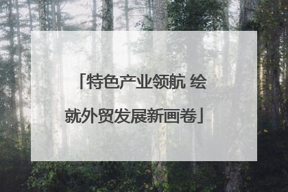 特色产业领航 绘就外贸发展新画卷